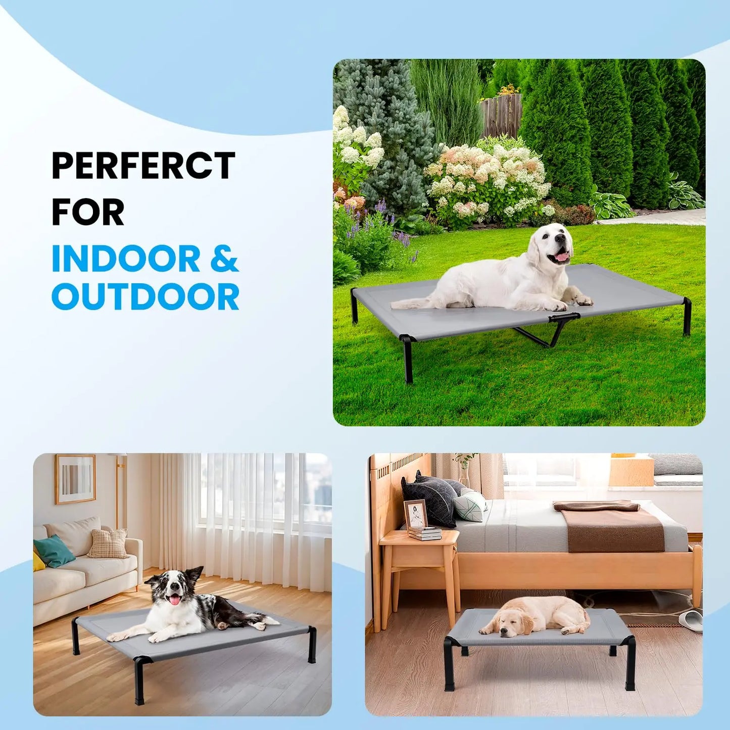 Elevated Dog Bed, Cooling Raised Pet Cot with Chew Proof Mesh Fabric and Steel Frame, Portable Dog Cot for Outdoor Indoor Use