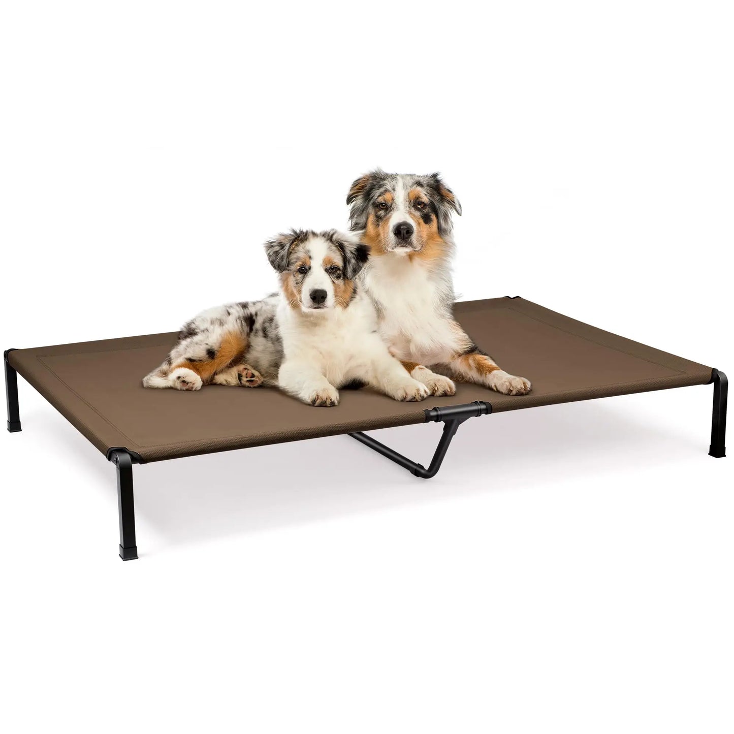 Elevated Dog Bed, Cooling Raised Pet Cot with Chew Proof Mesh Fabric and Steel Frame, Portable Dog Cot for Outdoor Indoor Use