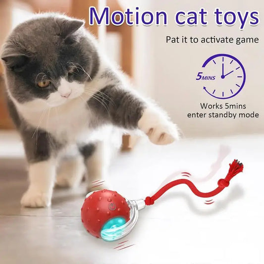 Interactive Rolling Cat Ball, Dog Toys Rolling Ball For Indoor, 360 degree Smart Automatic Rolling Pet Ball, Self Rolling Ball